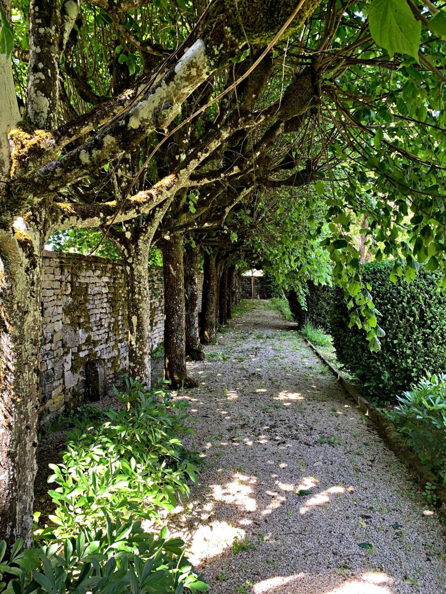 Le Clos Du Marronnier Rivieres-les-Fosses Eksteriør bilde
